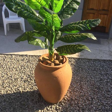 Ruros Guest House كمبتون بارك المظهر الخارجي الصورة